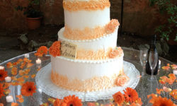 wedding-cake-orange